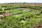 田野风景