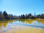 丽江黑龙潭