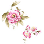 手绘 PSD 花卉