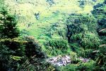山村