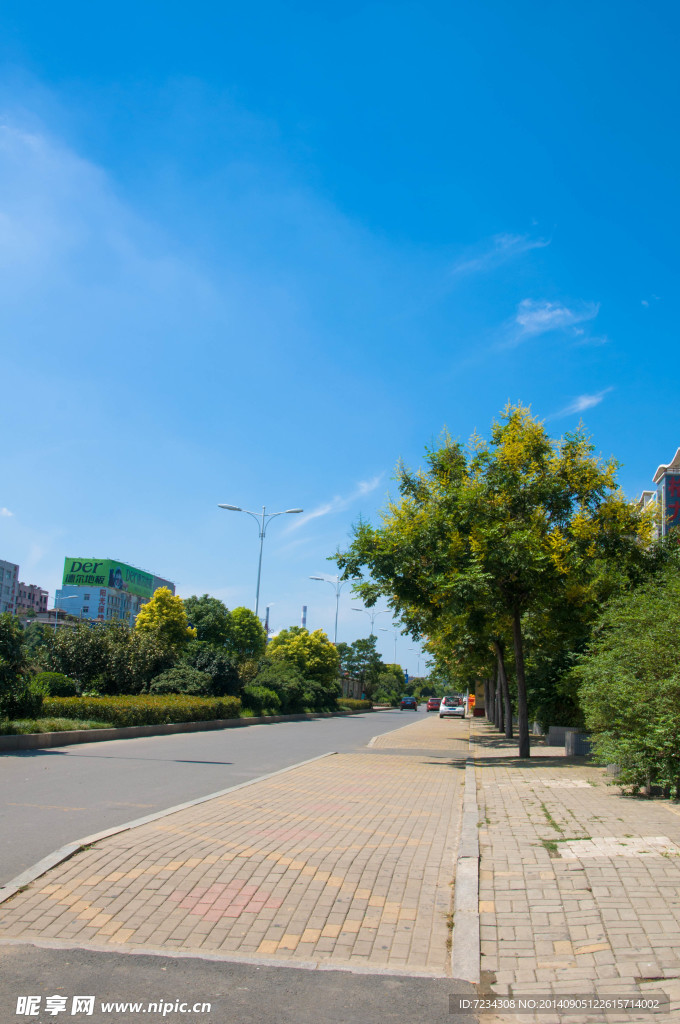 蓝天绿树