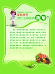 夏秋季节容易的菌痢