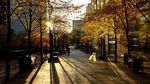 黄昏中的城市街道
