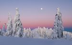 雪地