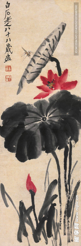 荷花
