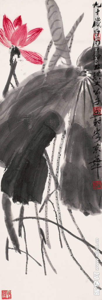红荷