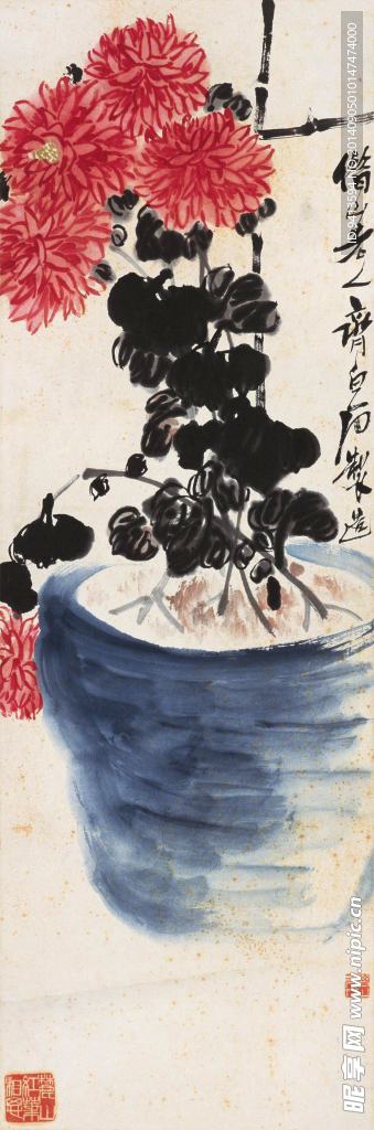 菊花