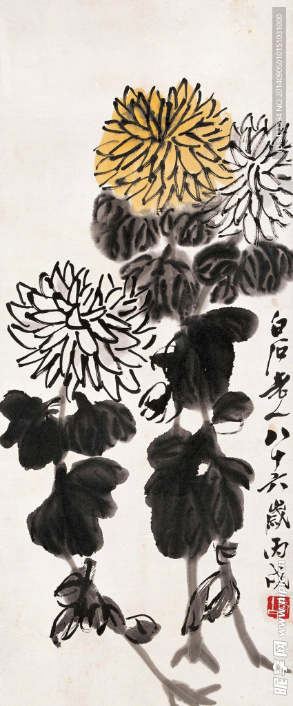 菊花