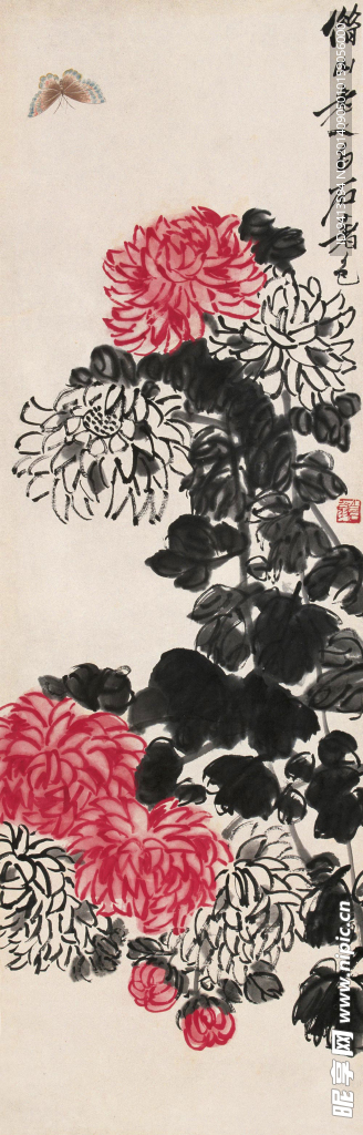 菊花蝴蝶