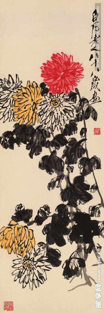 菊花图