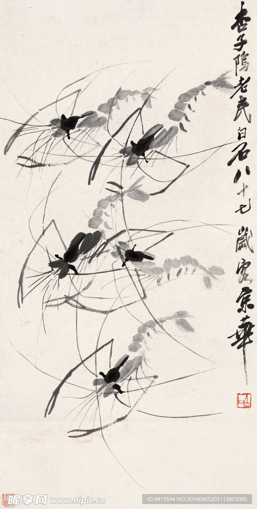 墨虾