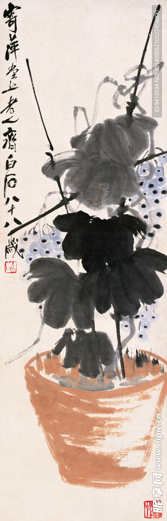 葡萄