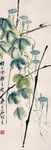牵牛草虫