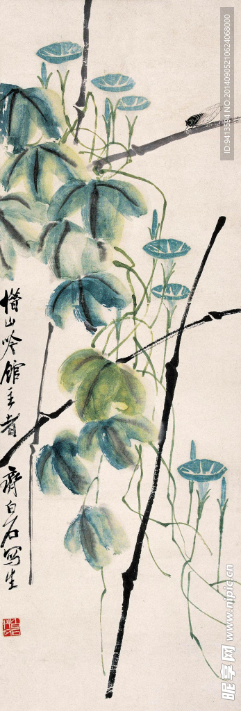 牵牛草虫