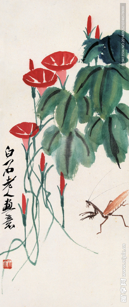牵牛花