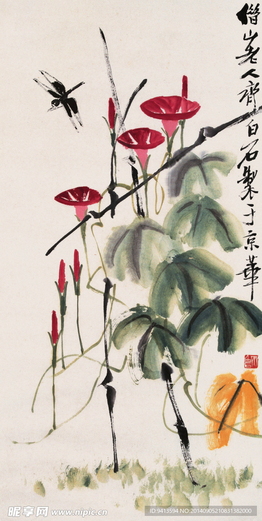 牵牛蜻蜓