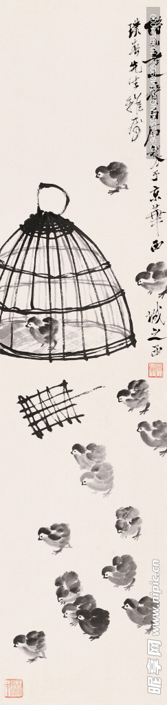 雏鸡