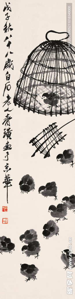 雏鸡