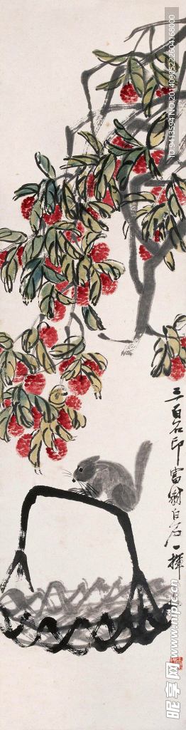 荔枝松鼠