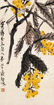枇杷图