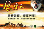 狼牙队