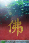 佛光