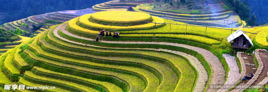梯田