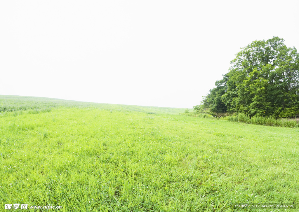 田野风景