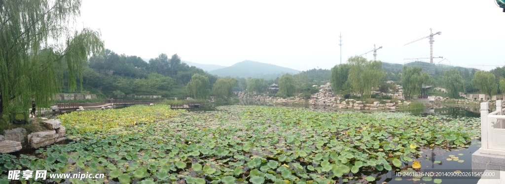 华林园