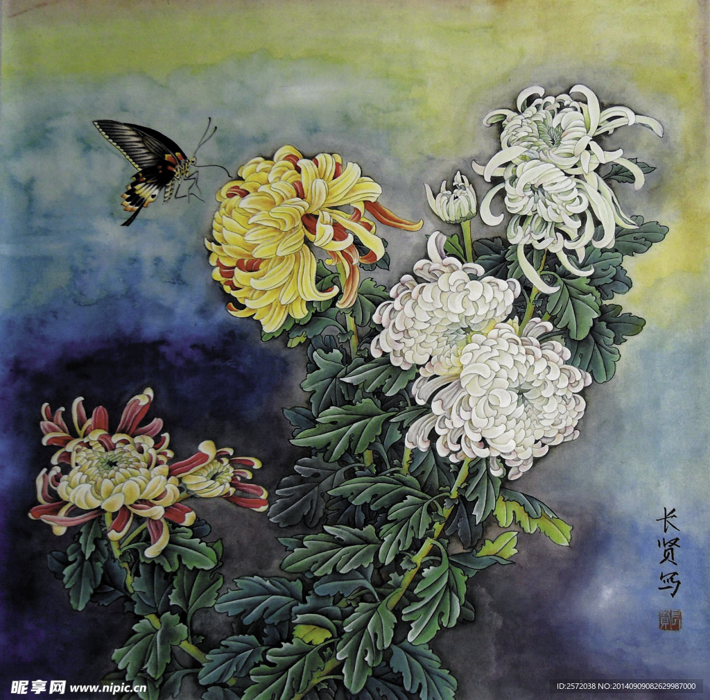 蝶舞秋菊