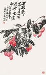 荔枝飘香