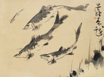 鱼