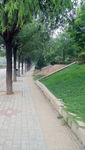 路