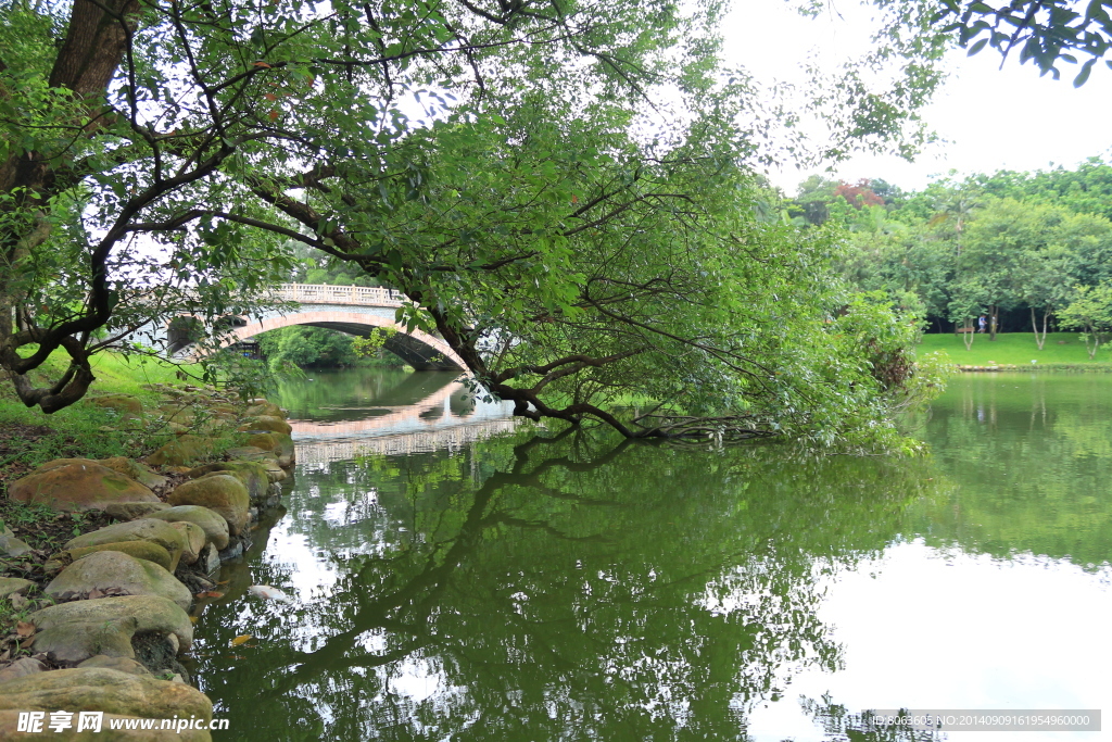 清山 绿水