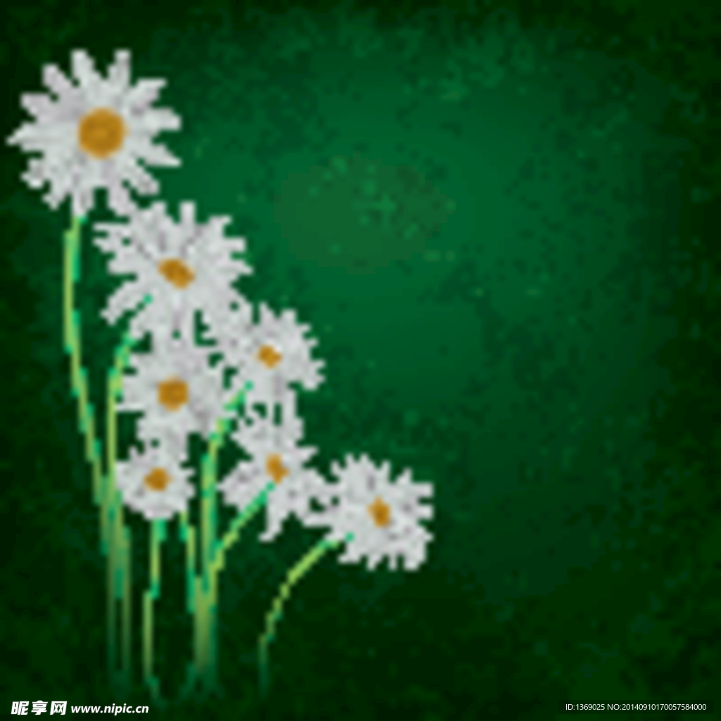 手绘太阳菊