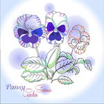手绘兰花