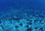 海底世界
