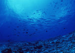 海底世界
