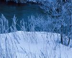 大雪迷幻