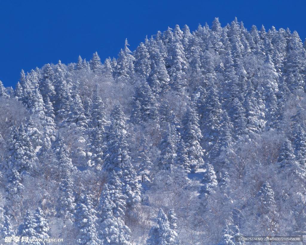 大雪迷幻