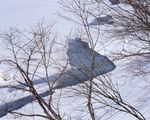 大雪迷幻