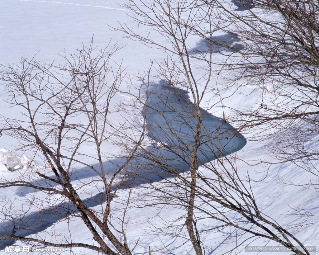大雪迷幻
