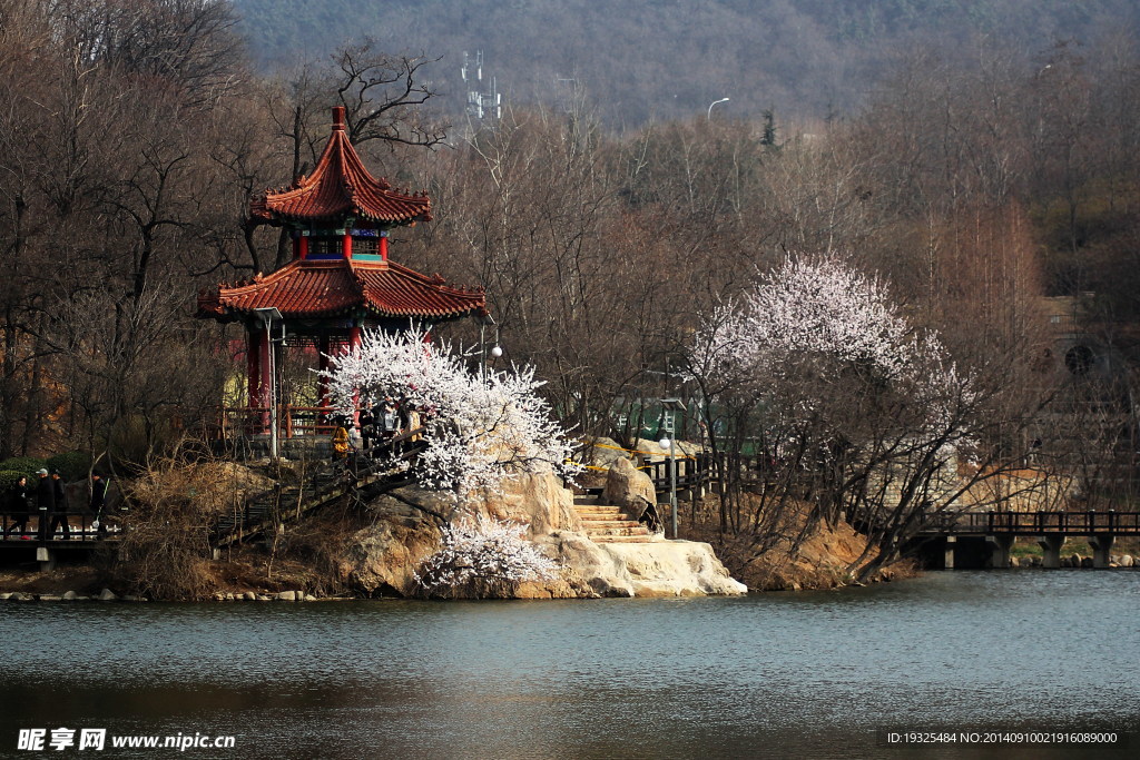 植物园风景