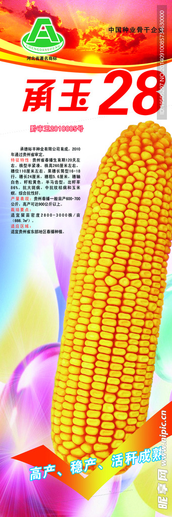 玉米