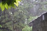 雨水