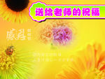 教师节