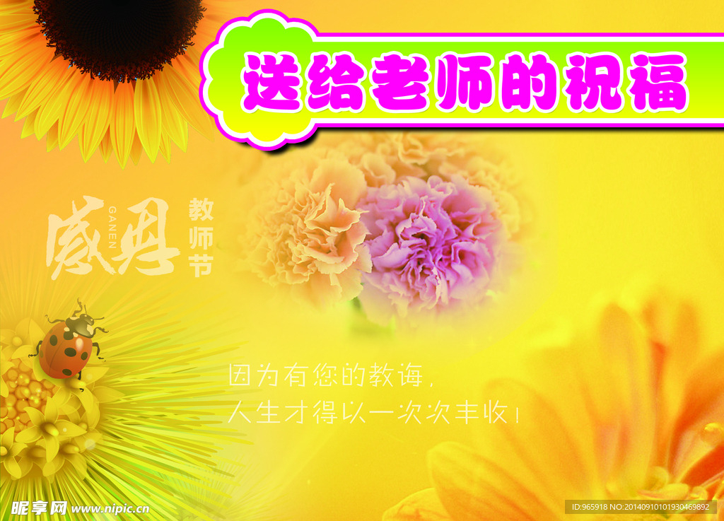 教师节