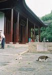 天妃宫