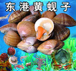 海鲜