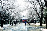 雪景